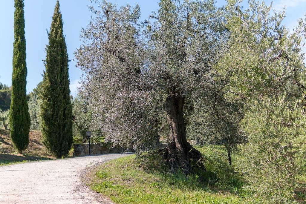 Agriturismo De Santis Castiglioncello Exterior foto