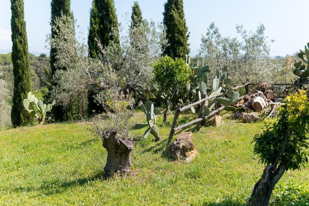 Agriturismo De Santis Castiglioncello Exterior foto