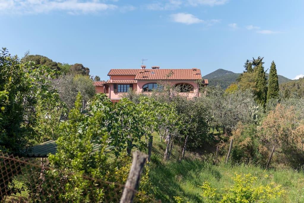 Agriturismo De Santis Castiglioncello Exterior foto